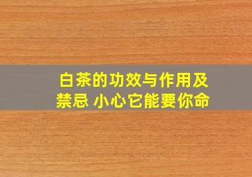 白茶的功效与作用及禁忌 小心它能要你命